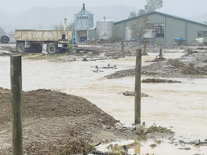 The recent floods hit West Coast farmers much harder than last July’s event, which caused major damage in the town of Westport.