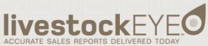 SALEYARD REPORT | Stortford Lodge store sheep sale