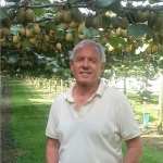 Kiwifruit grower John Cook