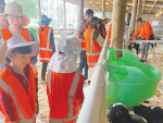 Pāmu farm opens gate to urban visitors
