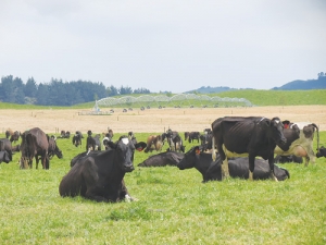 Farmers with irrigation are urged to plan for a dry summer.