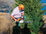 Biosecurity Minister Andrew Hoggard takes the chainsaw to wilding pines near Queenstown.