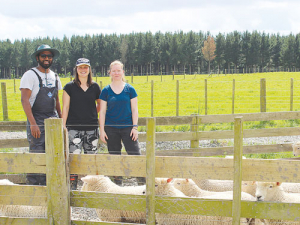 Researchers (left to right) PhD student Jay Ekanayake, Dr Lydia-Cranston and Dr Rene Corner Thomas.