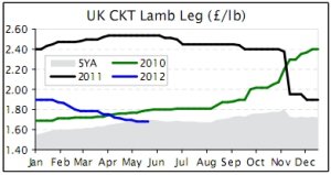UK lamb market tough
