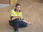 Cust farmer Roscoe Taggart examines his parsnip seed crop which is bound for Europe.