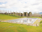 A crust-free effluent pond allows hasslefree irrigation of nutrients to paddocks.