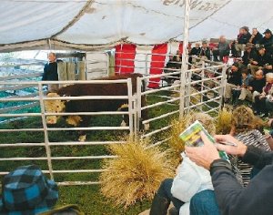 Confidence on the wane – reports