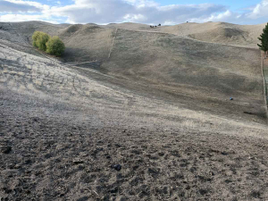 Marlborough Federated Farmers has raised concerns for the mental wellbeing of drought-impacted farmers in the top of the South Island.
