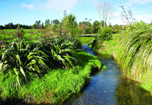 Dairy industry says everyone has same vision on water quality