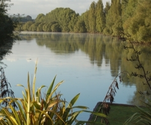 Waikato thirsty for predicted rain