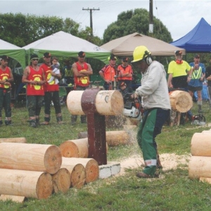 Logging sports – always a crowd favourite.