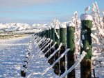Wine Weather: Record-breaking warmth and rainfall mark early 2025 weather in New Zealand