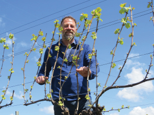 Cloudy Bay’s Jim White with one of six trials being run as a precursor to a BRI research programme. This one taps into structures used by the apple industry to increase production and quality.