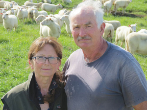 Big cheese: Sheep milk cheese makers Cathy Oakley and husband Rod Clarke.