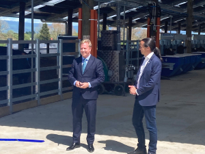 Government invests $8 million in LIC methane research to reduce dairy emissions