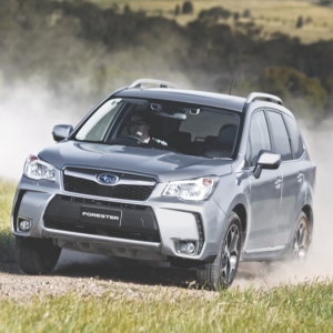 Forester works well in the bush