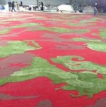 NZ wool rug a world record contender