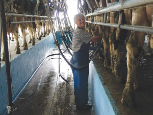 Michelle Alexander in the milk shed.