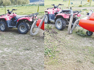 The before (right) and after (left) shots of the horse paddock after Lady Muck has done its magic.
