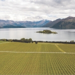 Rippon: A coming of age 
