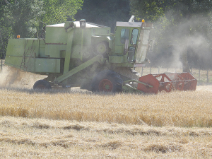 As harvest season approaches agricultural contractors will be looking for staff.