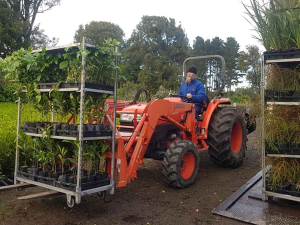 Naki sets native planting record 