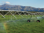 Efficient Irrigation Improves Pasture Productivity
