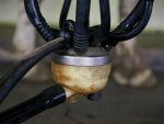 Editorial: Dairy Power