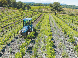 The new T4F S series is described as the ideal tractor for working in orchards and vineyards.