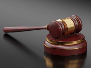 Palmerston North Shearer Sentenced After MPI Investigation Into Sheep Abuse