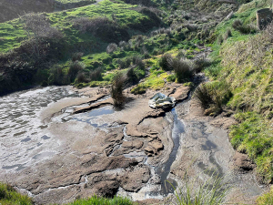 Record RMA fine after repeated piggery effluent discharges