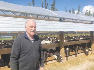 HerdHomes was started by Tom Pow after he noticed the impact of bad weather on cows and milk production.