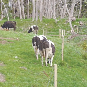 Fencing farm waterways