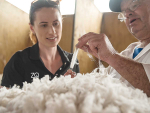 Central Otago merino farms are among the many already signed up for the New Zealand Merino Company's new ZQRX programme. Photo: New Zealand Merino.