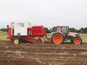 NZ’s potato sector now has an overall value of $1.16 billion – with 58% growth in domestic value since 2013.