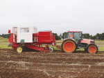 Strong local market holds the line for NZ spuds