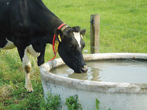 There are clearly more things to investigate than nitrate in drinking water, caused by dairying.