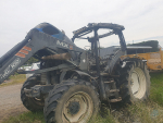 Birds causing carnage in rural NZ