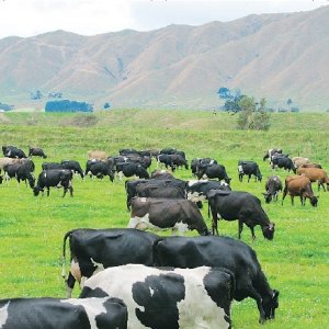 One Plan bill continues to build