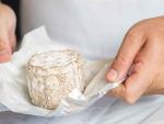 Judges tasted 240 cheeses as part of the NZ Champions of Cheese Awards.