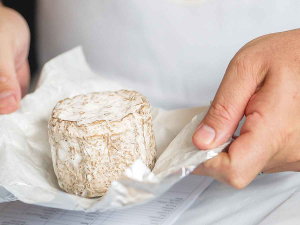 Judges tasted 240 cheeses as part of the NZ Champions of Cheese Awards.