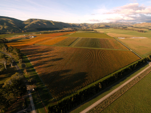 Wine Weather: What's been going on?