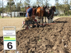 The weather was fine and sunny and this helped attract good crowds for the two days of competition. 