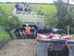 It is hoped a report showing good pay for dairy sector workers will help attract more New Zealanders to farming jobs.