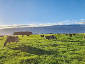 New Zealand Rural Land Co made a net profit after tax of $2.5m last financial year.