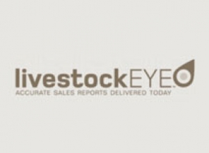 SALEYARD REPORT | Frankton store cattle