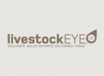 SALEYARD REPORT | Frankton store cattle