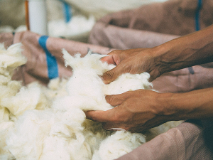 Struggling strong wool growers will be hoping moves in the industry during the year will see a much-needed lift in prices.