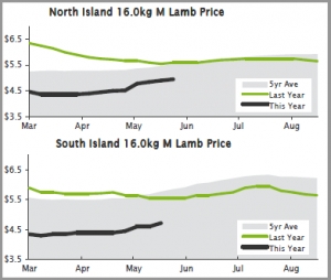 LAMB | North Island lamb prices to crack $5/kg