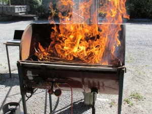 A &#039;plant barbecue&#039; was used in a joint study to test the vulnerability of New Zealand plants to wildfires.